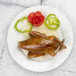 Stuffed Pigeon